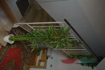 B&B Col Moschin Mestre Kültér fotó